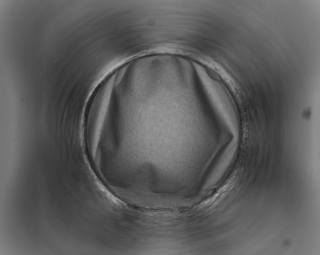 X0000097840902200803281221