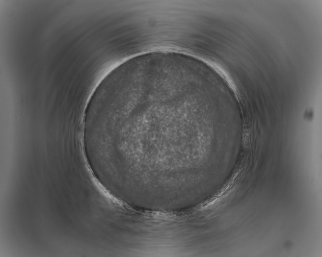 X0000097840903200803281221