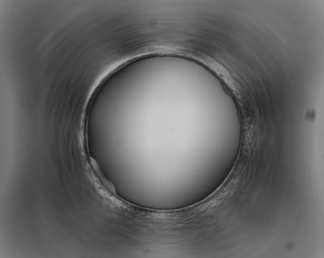 X0000097840904200803281221