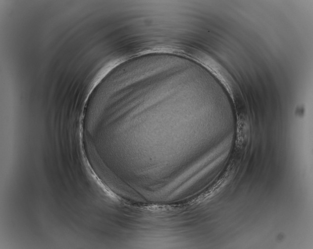 X0000097840906200803281221