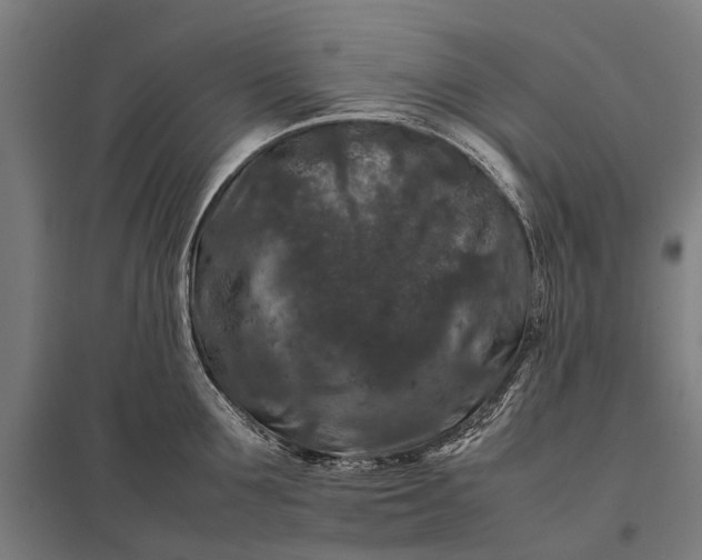X0000097840907200803281221
