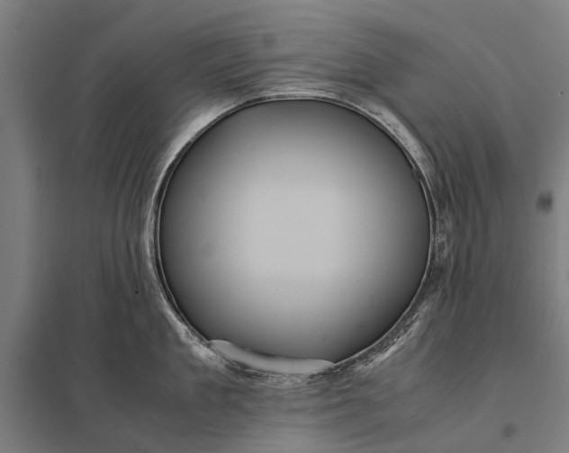 X0000097840909200803281221