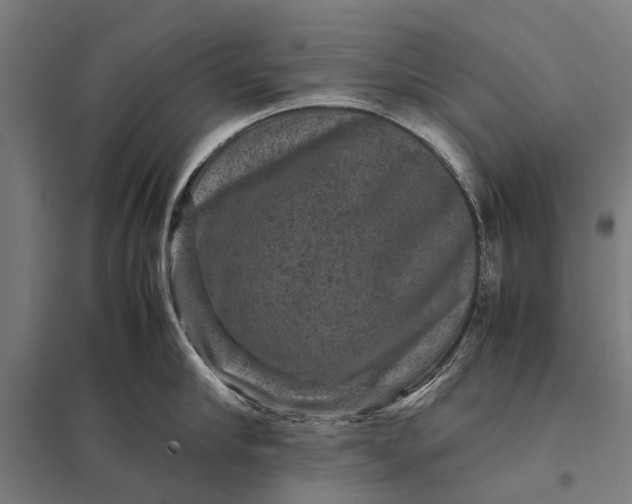 X0000097840910200803281221