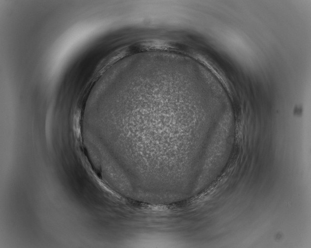 X0000097840911200803281221