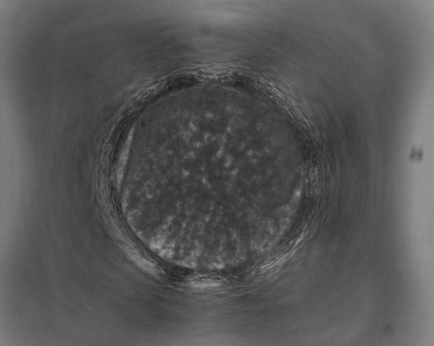X0000097840913200803281220