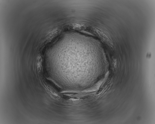 X0000097840914200803281220