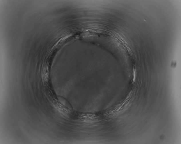 X0000097840915200803281220