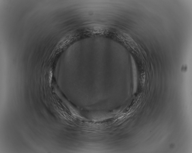 X0000097840916200803281220
