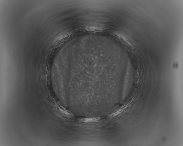 X0000097840917200803281220