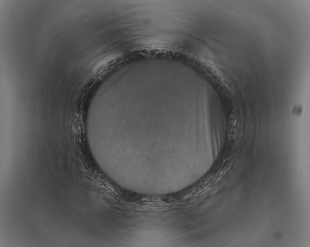 X0000097840918200803281220