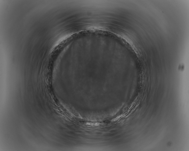 X0000097840919200803281220