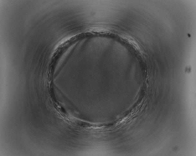 X0000097840920200803281220