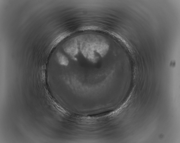 X0000097840921200803281220