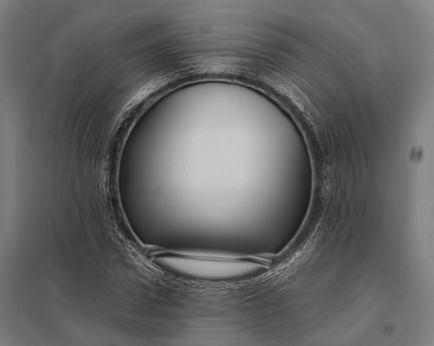 X0000097840922200803281220