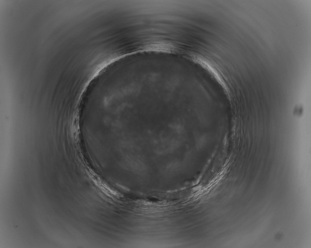 X0000097840923200803281220