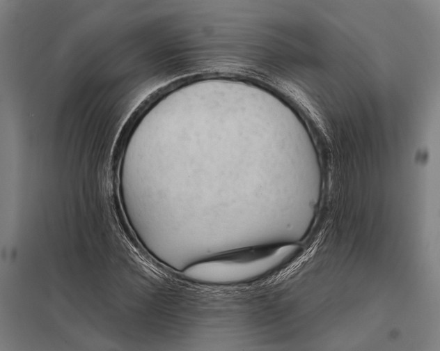 X0000097840924200803281220