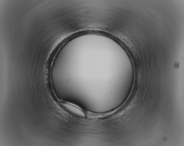 X0000097840926200803281220