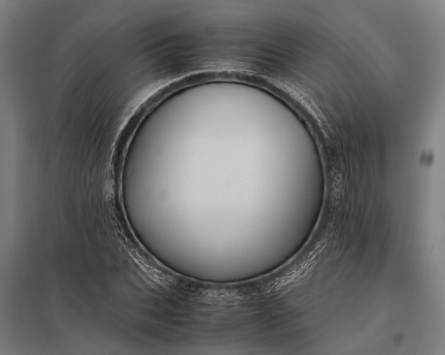 X0000097840927200803281220