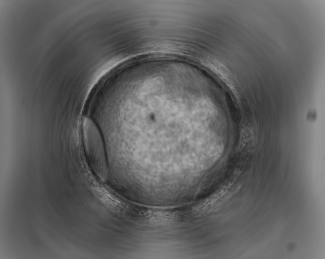 X0000097840928200803281220