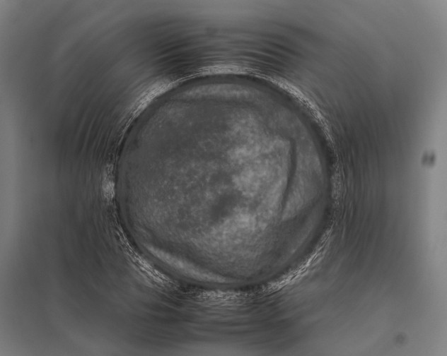 X0000097840929200803281220