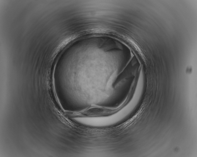 X0000097840930200803281220