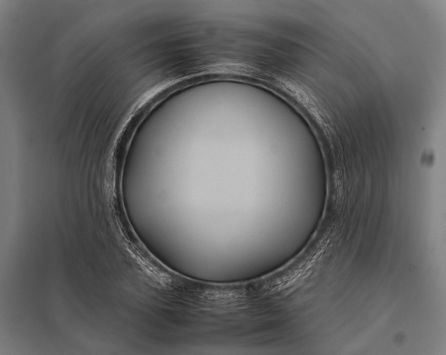 X0000097840931200803281220