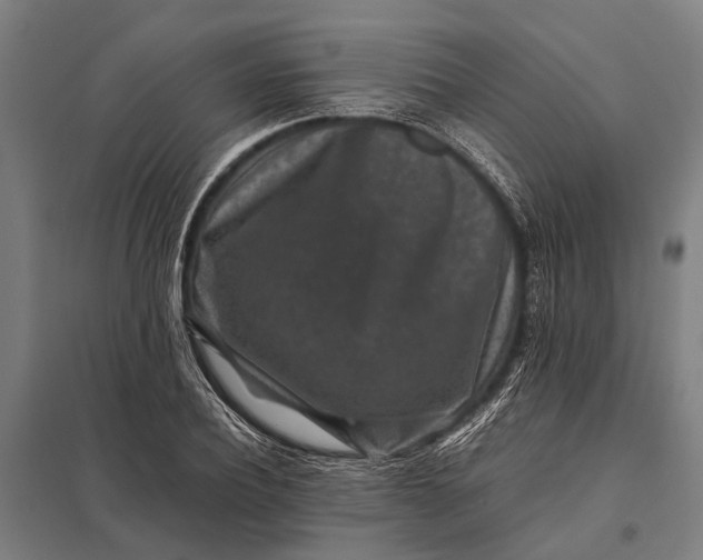 X0000097840932200803281220