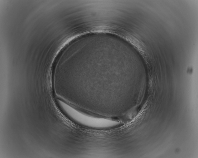 X0000097840934200803281221