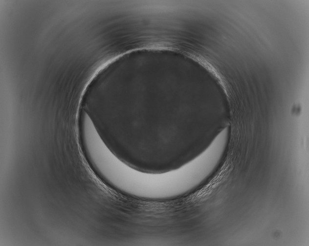 X0000097840935200803281221