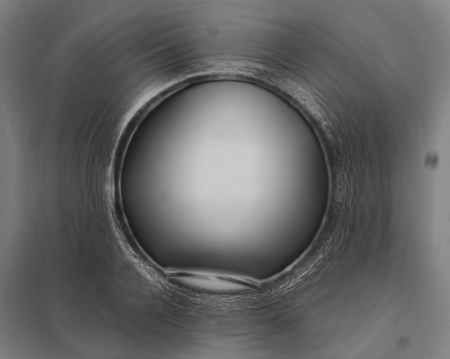 X0000097840936200803281221