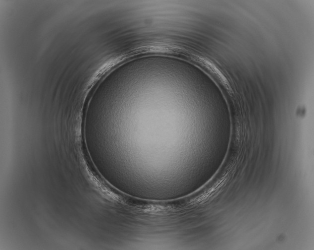 X0000097840938200803281221
