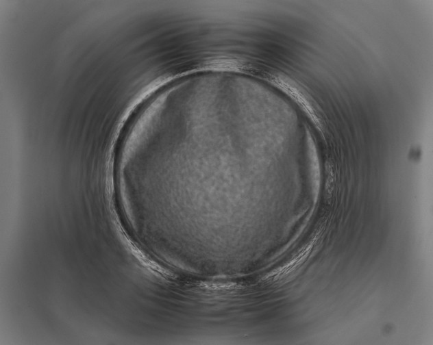 X0000097840939200803281221