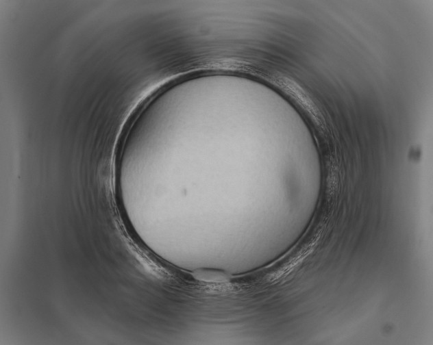 X0000097840940200803281221