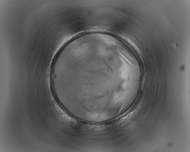 X0000097840941200803281221