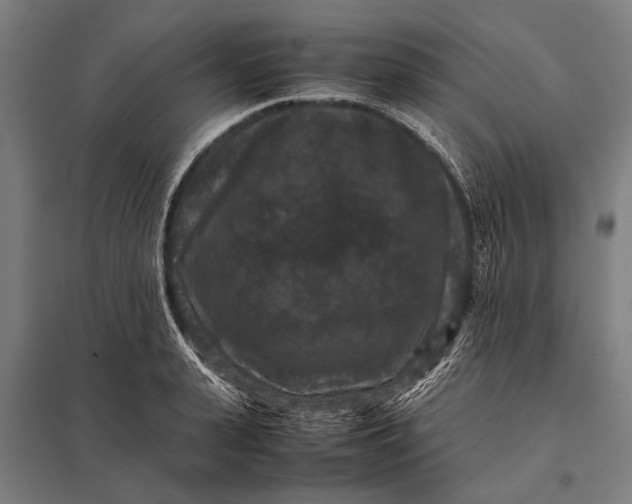 X0000097840943200803281221
