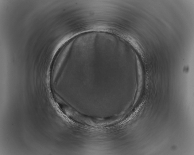X0000097840944200803281221