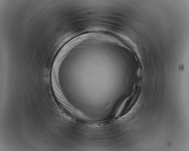 X0000097840945200803281221