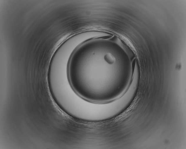X0000097840946200803281221