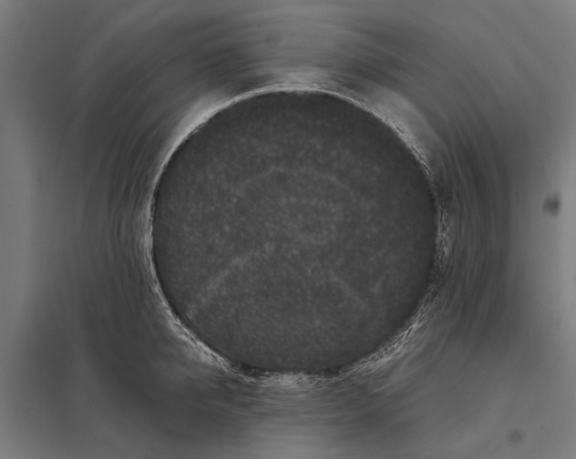 X0000097840950200803281221