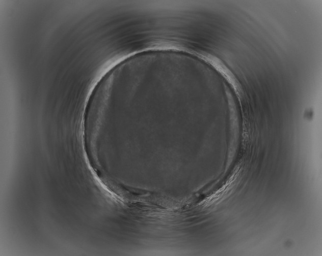 X0000097840951200803281221