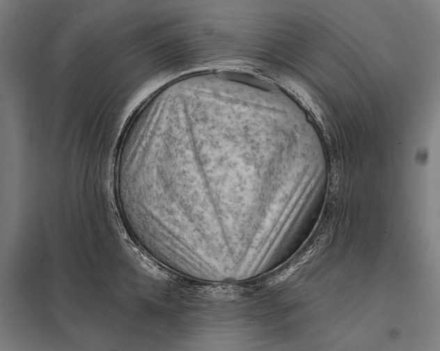 X0000097840952200803281221