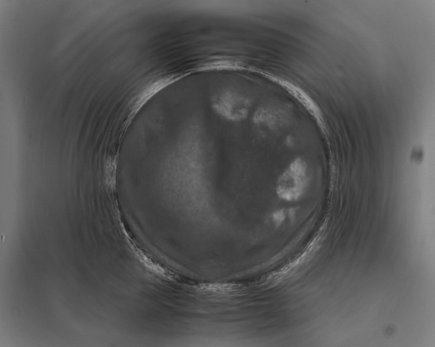 X0000097840953200803281221