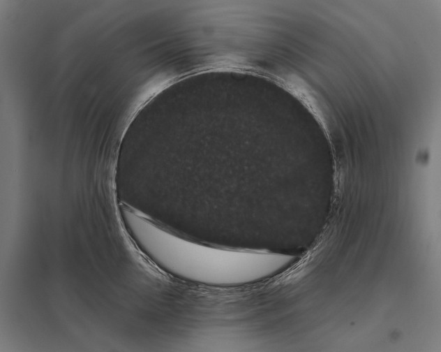 X0000097840954200803281221