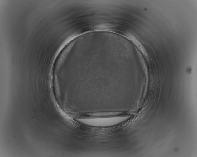 X0000097840955200803281221