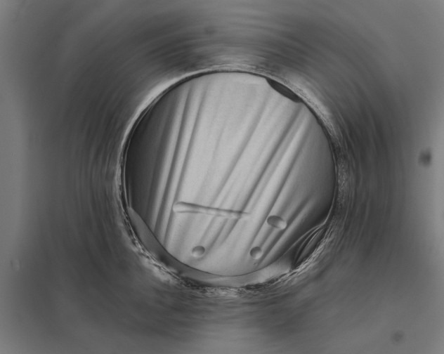 X0000097840956200803281221