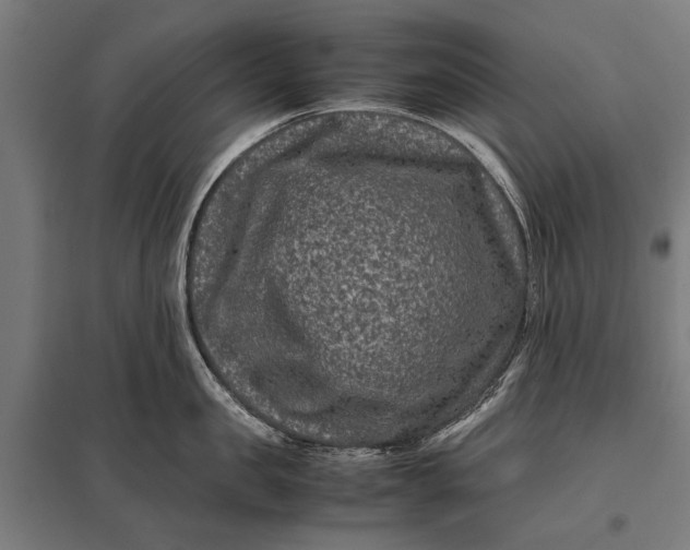 X0000097840957200803281221
