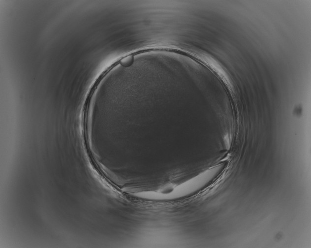 X0000097840958200803281221