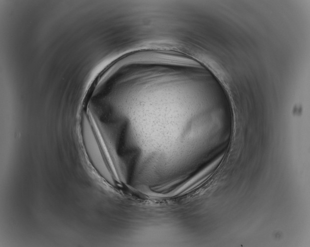 X0000097840960200803281221