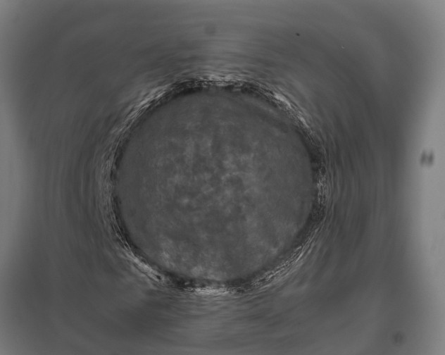 X0000097840961200803281220