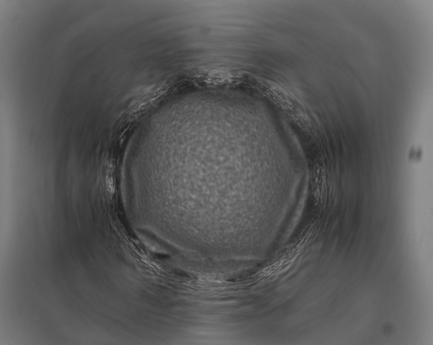 X0000097840962200803281220